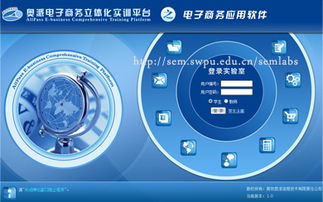 电子商务信息系统软件