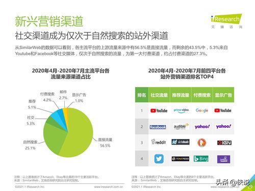 2020 2021年中国跨境出口b2c电商年度发展报告